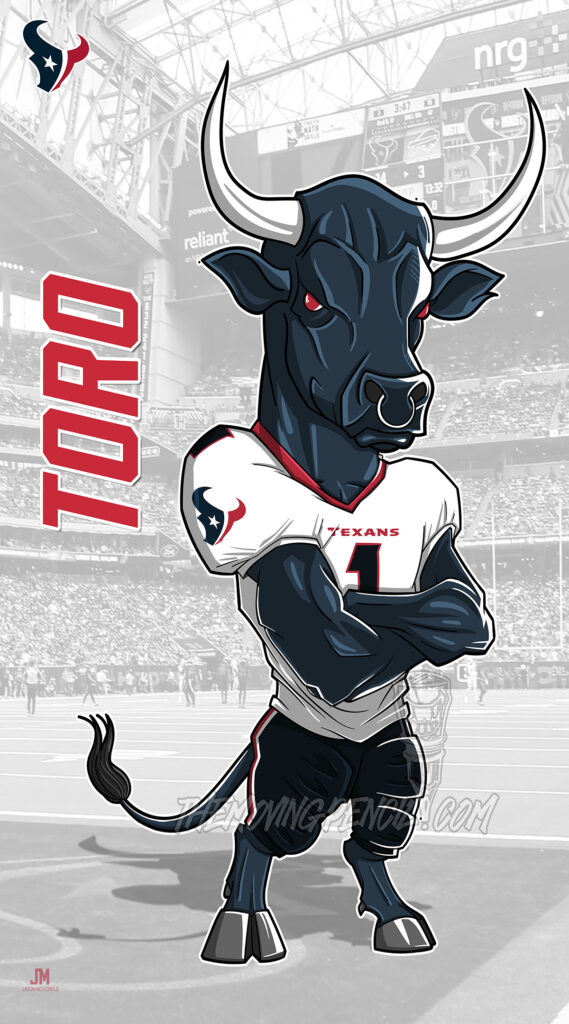 Houston Texans NFL Football Print - Fan Decor