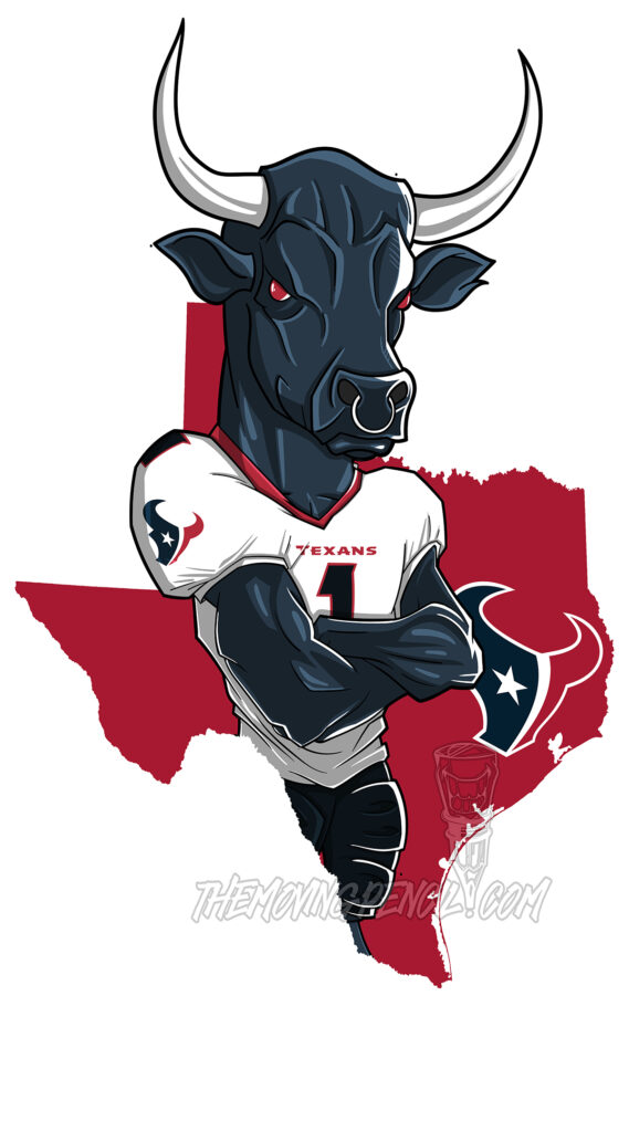 Houston Texans - State Outline NFL Football - Fan Decor